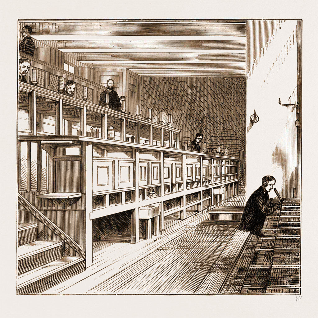 Detail of Opening Of The New Wing Of University College, London by Anonymous
