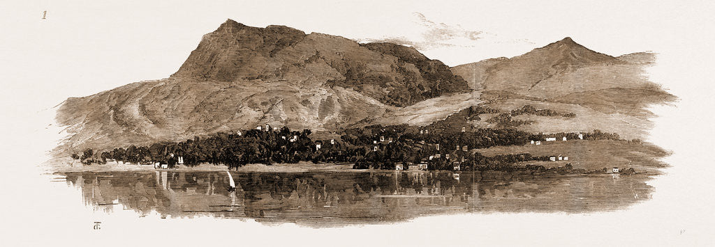 Detail of The Earthquake At Scio, 1881 by Anonymous