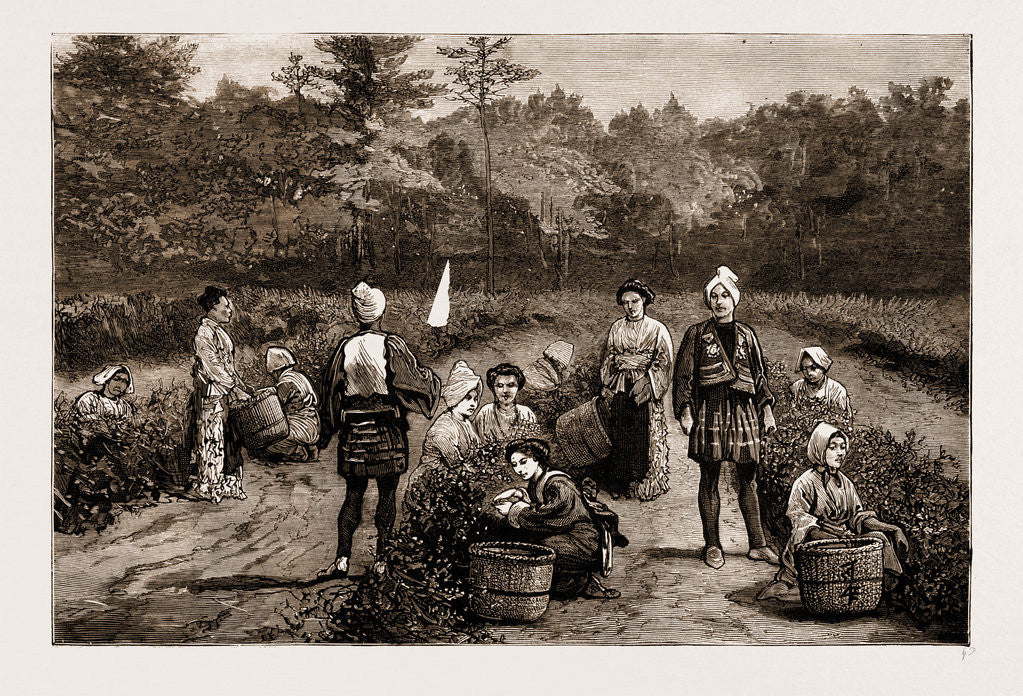 Detail of Tea Gathering In Japan, 1881 by Anonymous