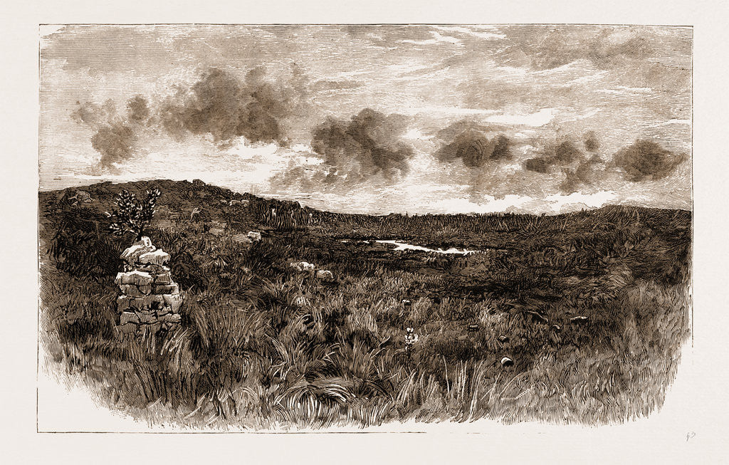 Detail of The Rising In The Transvaal, South Africa: After The Battle: Summit Of Majuba Mountain by Anonymous