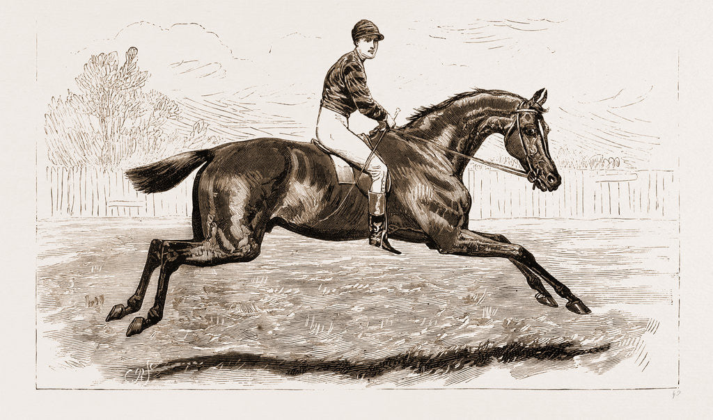 Detail of Iroquois, The Winner Of The Derby Of 1881 by Anonymous