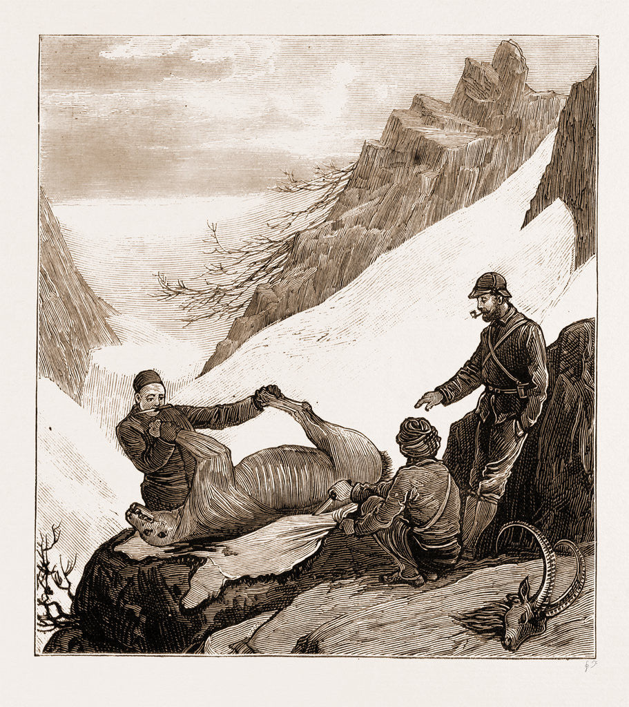 Detail of Sport In Kashmir: Skinning A Snow Bear, 1881 by Anonymous