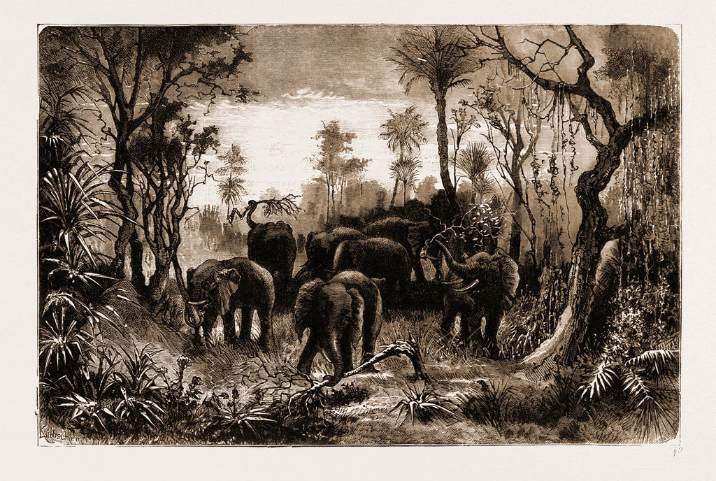 Detail of Elephants On The March, South Africa by Anonymous