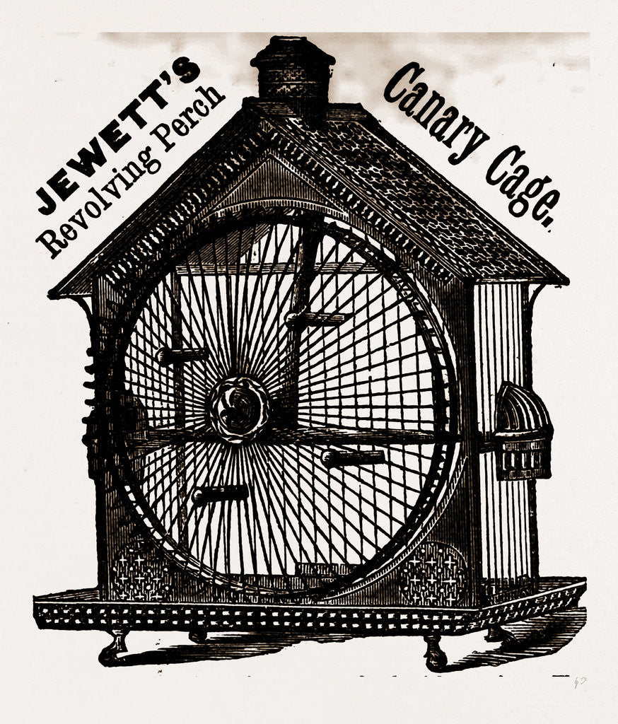 Detail of Nearly the Whole Front Is A Wheel With Perches. the Bird Hopping From Perch to Perch Gives Motion by Anonymous