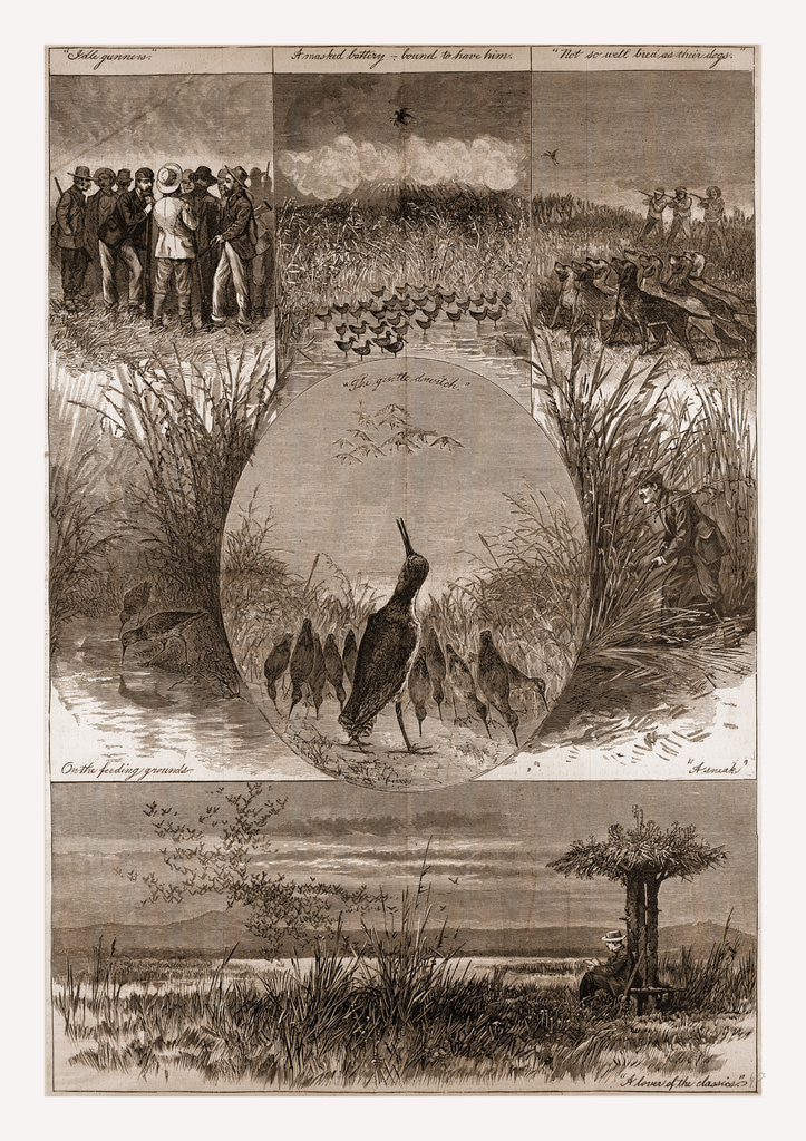 Detail of The Snipe Drawn by Gaston Fay