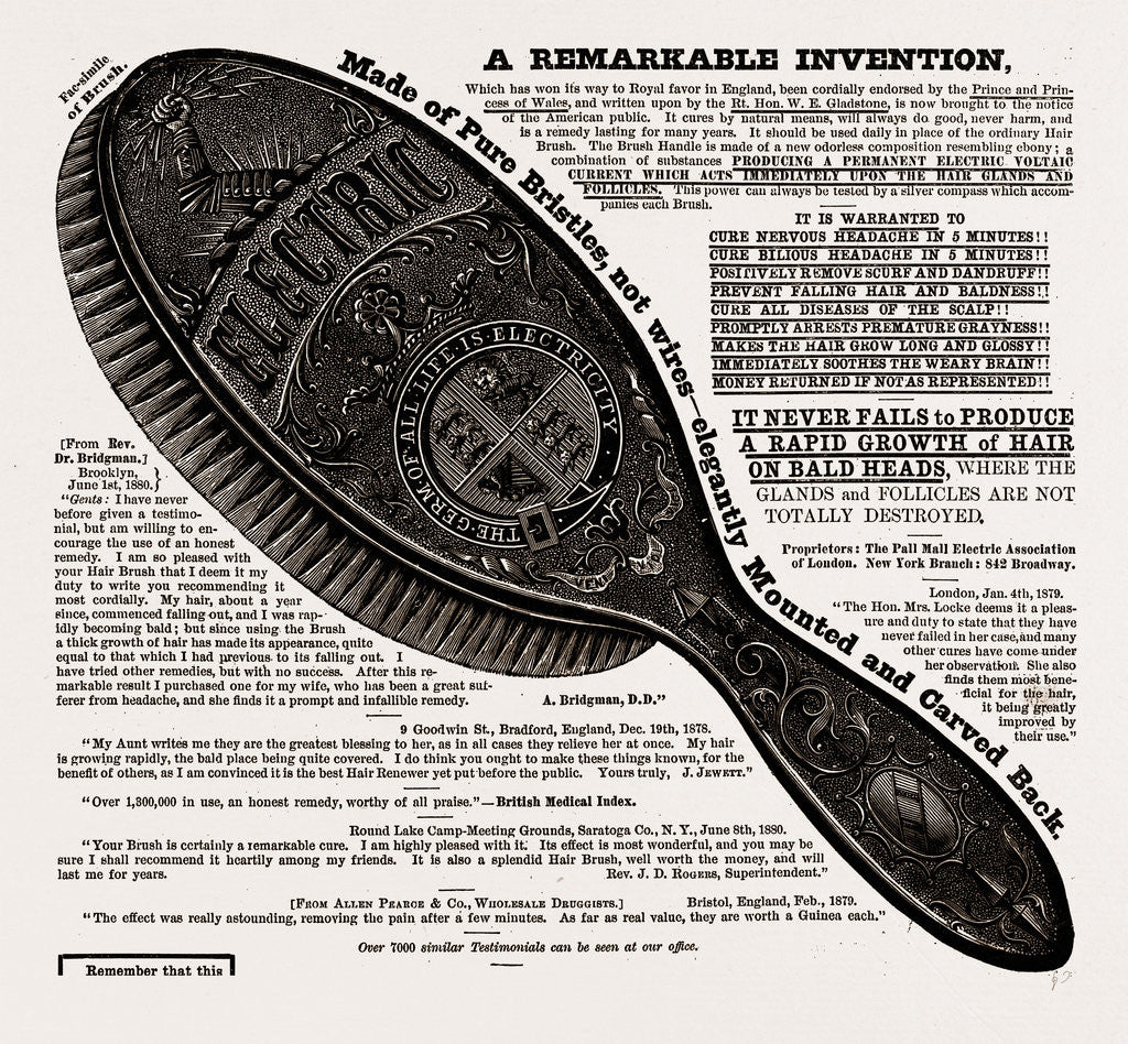 Detail of A Beautiful Brush, Lasting For Years by Anonymous