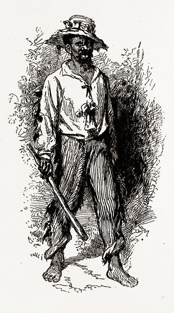 Detail of Georgia, A Greene County African-american, 1880 by Anonymous