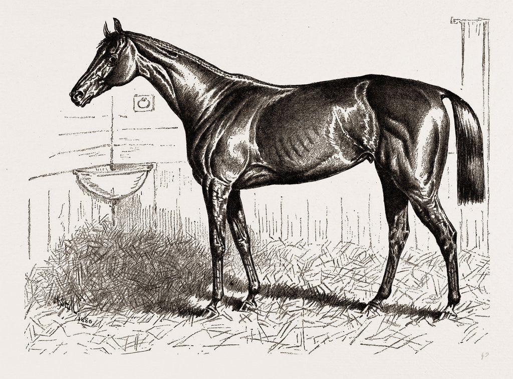 Detail of An American Racer in England-mr. Keene's foxhall, Winner of the Bretby Nursery Plate by H. Stull