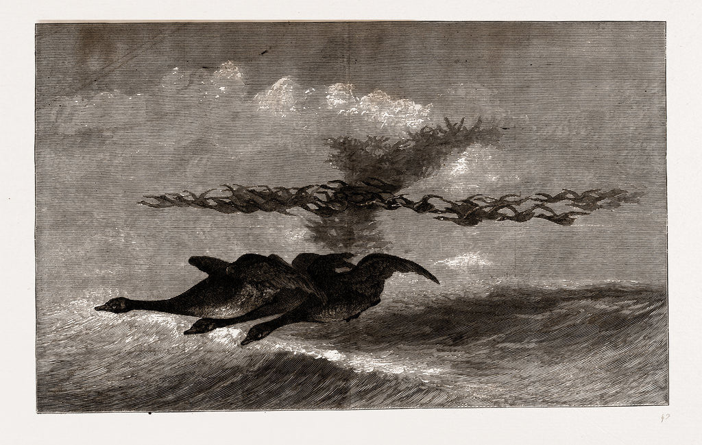 Detail of The Wild-goose by Gaston Fay