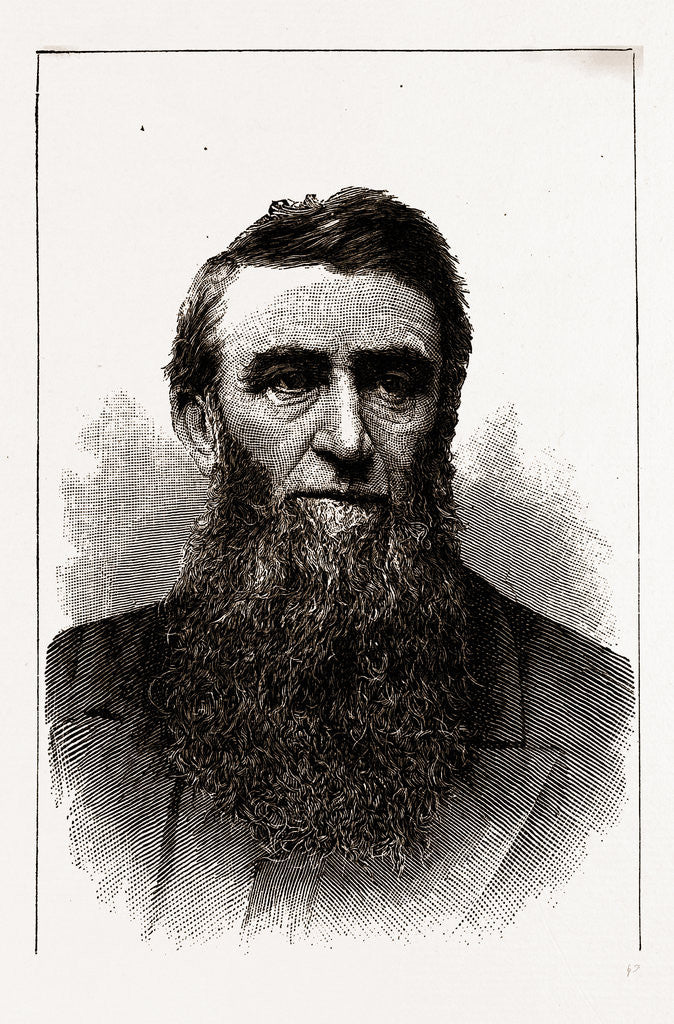 Detail of The Hon. D. H. Jerome, Governor-elect of Michigan by Anonymous