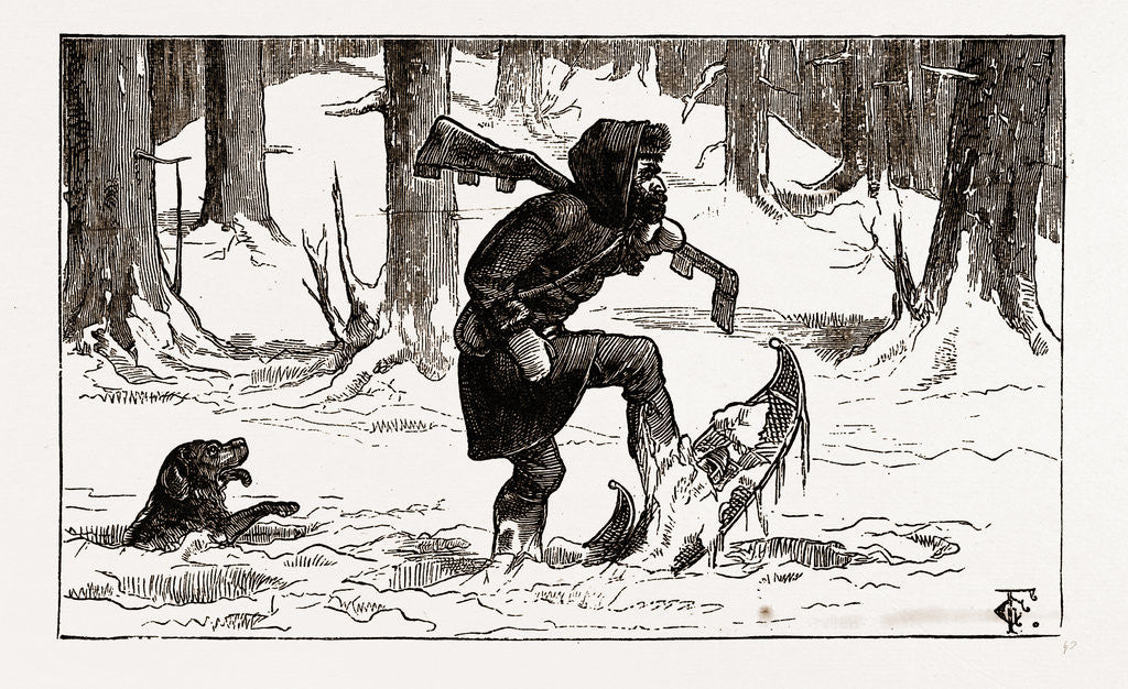 Detail of British Columbia, A Province Located On the West Coast of Canada, December, Soft Snow Misery by Anonymous