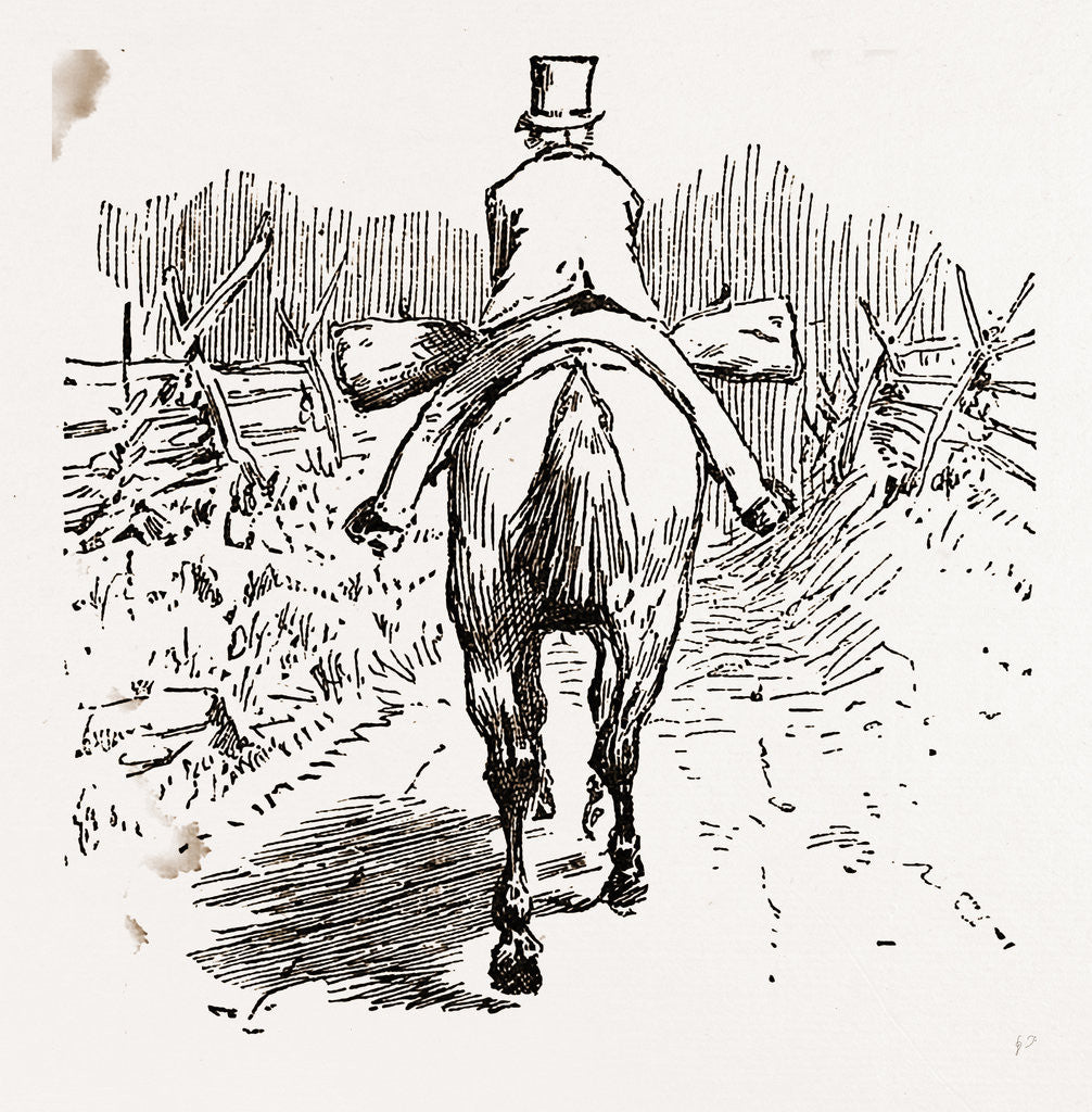 Detail of Dr. Jex, 1880 by Anonymous