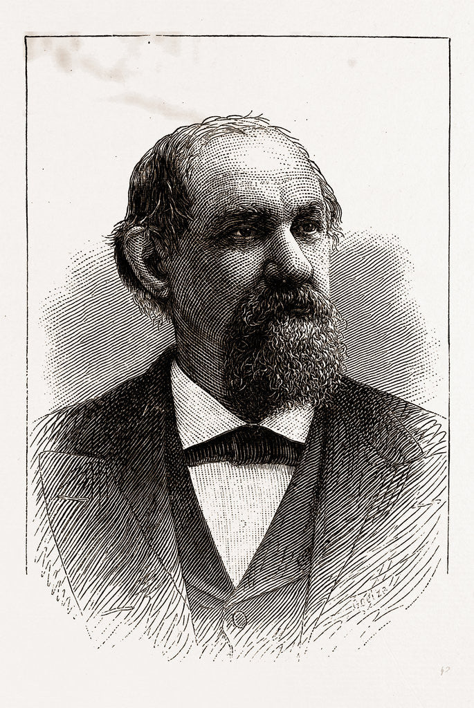 Detail of The Hon. T. J. Jarvis, Governor of North Carolina, 1880 by Anonymous