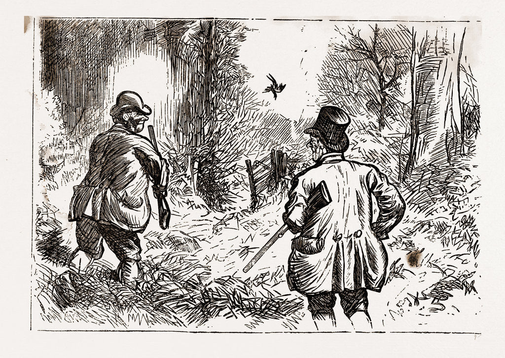 Detail of Accidents Will Happen, 1880 by Anonymous