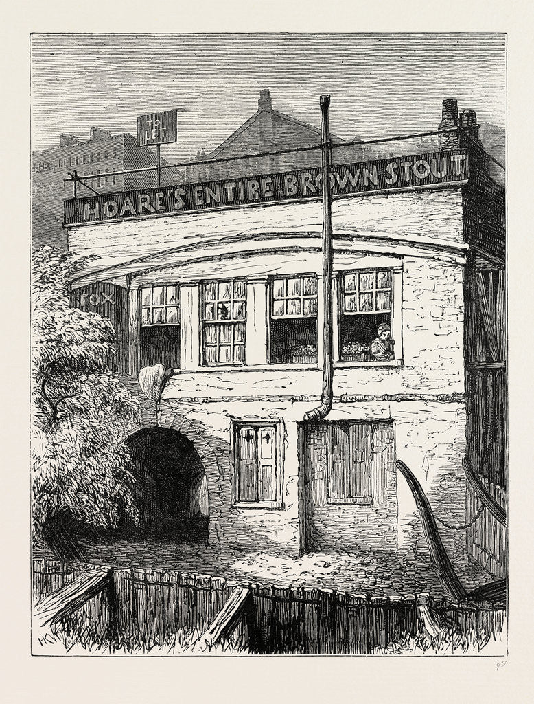 Detail of The fox-under-the-hill by Anonymous