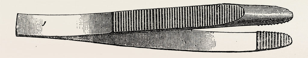Detail of Stout dissecting forceps by Anonymous