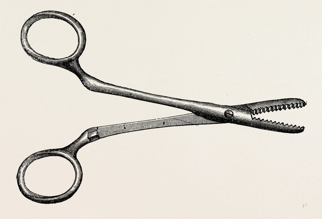 Detail of Spencer wells's artery forceps by Anonymous