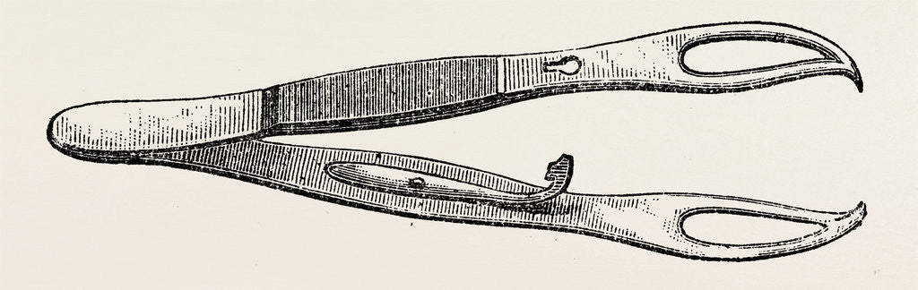 Detail of Wakley's artery forceps by Anonymous