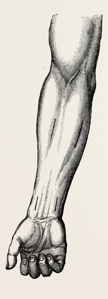 Detail of Ligature by Anonymous