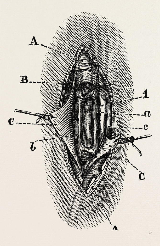 Detail of Ligature by Anonymous