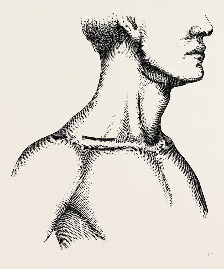Detail of Ligature of the first part by Anonymous