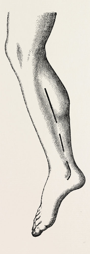 Detail of Ligature by Anonymous