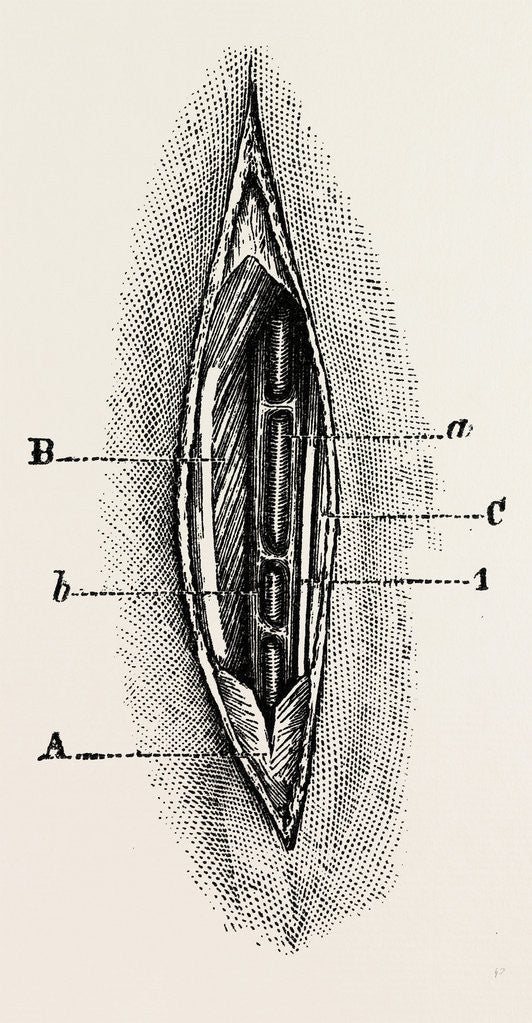 Detail of Ligature by Anonymous