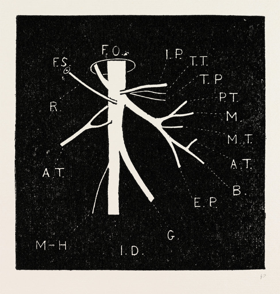 Detail of Diagram by Anonymous