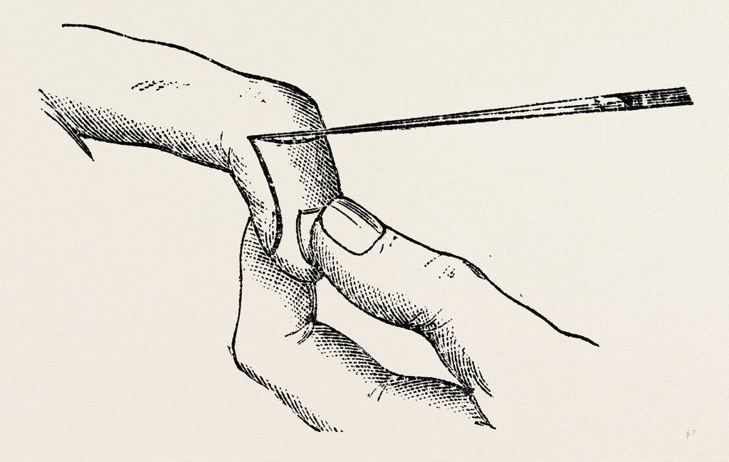 Detail of Four inches long by Anonymous