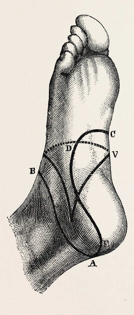 Detail of Inner and outer sides of the right foot by Anonymous