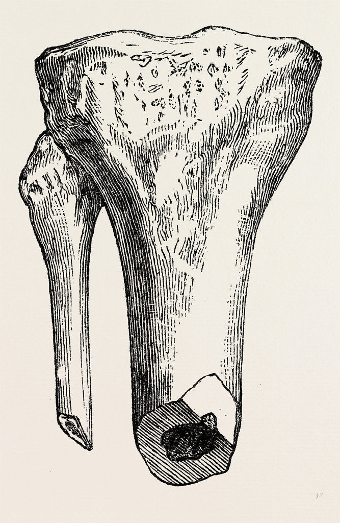 Detail of Method of method of sawing by Anonymous