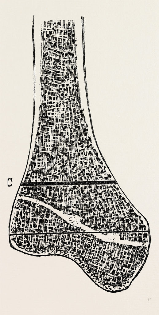 Detail of Vertical by Anonymous