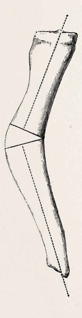 Detail of Cunei by Anonymous