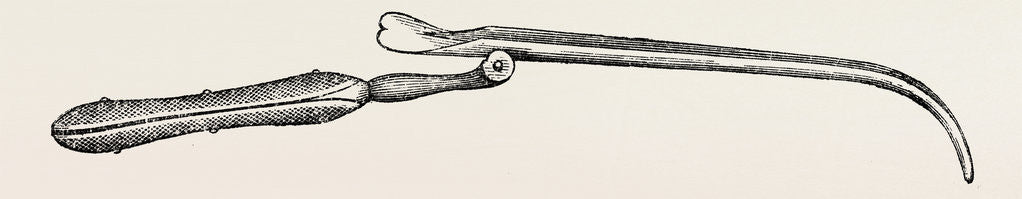 Detail of Blandin's director for resections by Anonymous