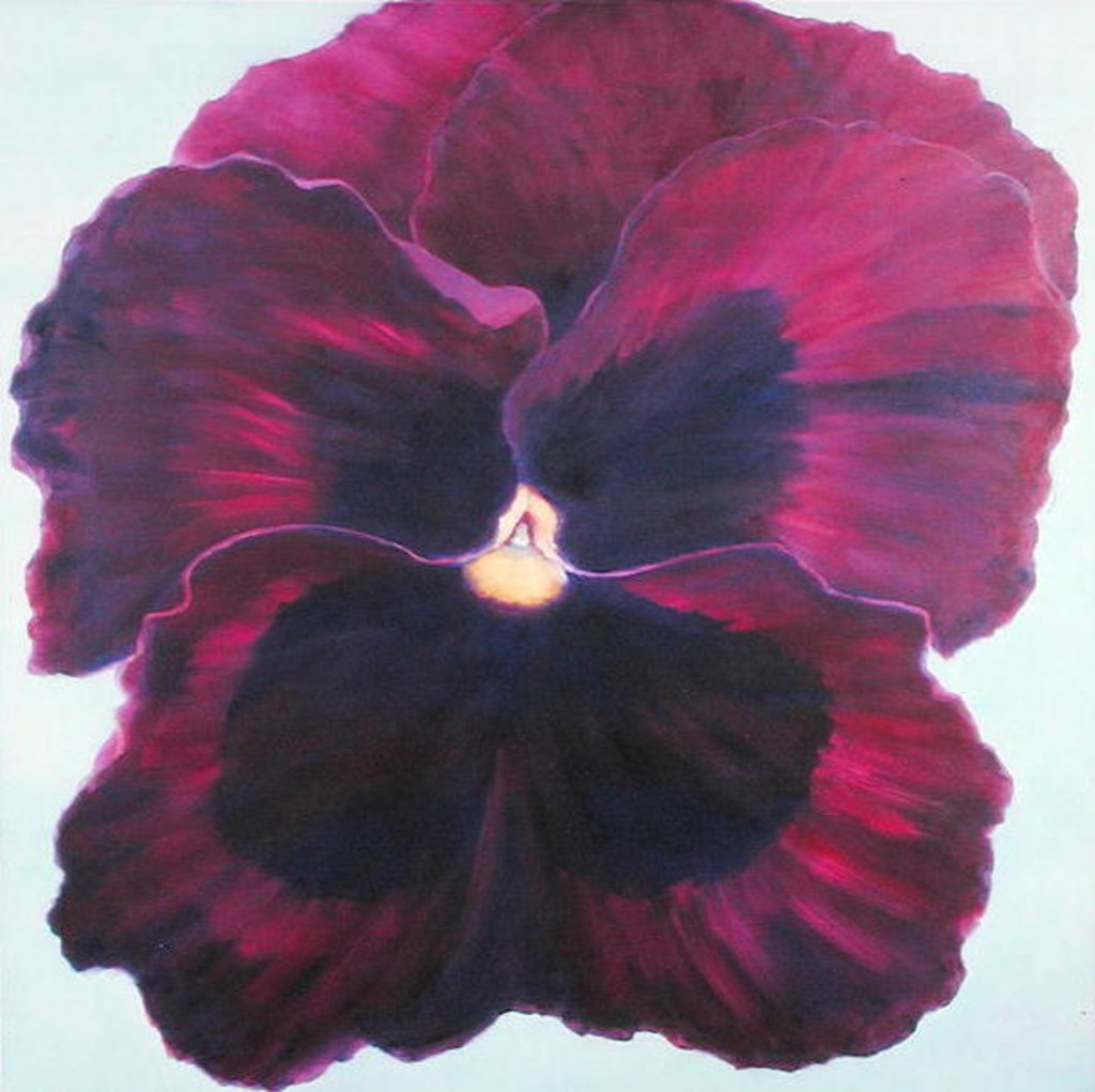 Detail of Pansy, 2004 by Lee Campbell