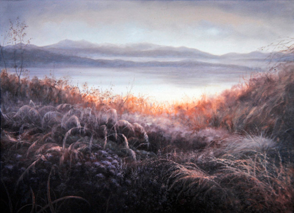 Detail of Misty, 2010 Scottish landscape by Lee Campbell