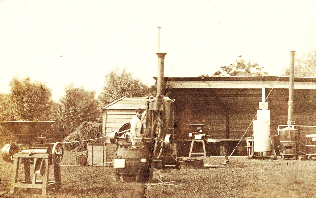 Detail of An agricultural exhibition in Middelburg by Jan Wendel Gerstenhauer Zimmerman