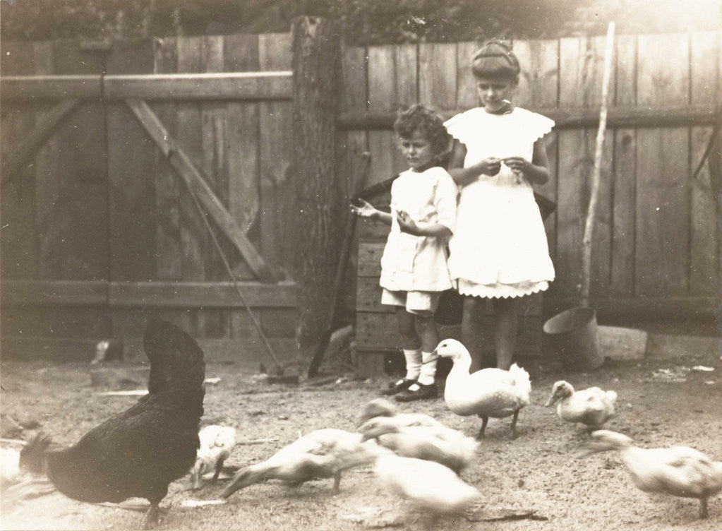 Detail of Marba and Eckart Titzenthaler, children of the photographer, standing on a farm with chickens and geese by Waldemar Titzenthaler