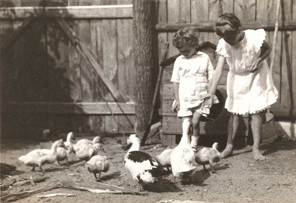 Detail of Marba and Eckart Titzenthaler, children of the photographer, standing on a farm with chickens and geese by Waldemar Titzenthaler