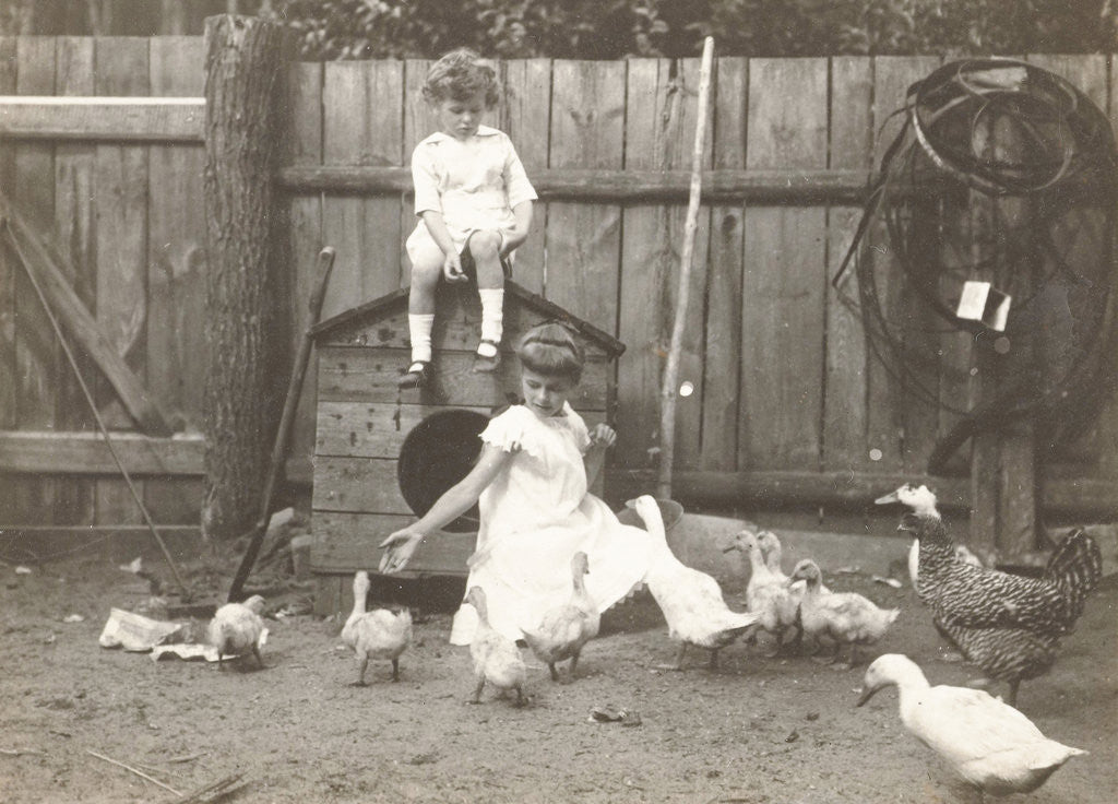 Detail of Marba and Eckart Titzenthaler, children of the photographer, standing on a farm with chickens and geese by Waldemar Titzenthaler