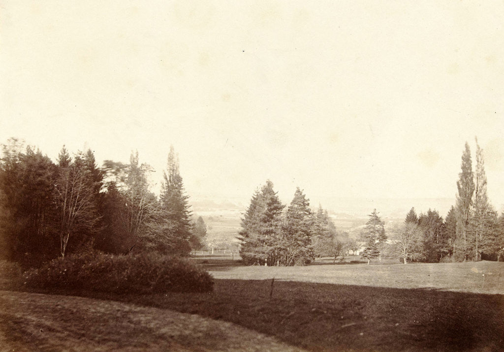 Detail of View of a park-like landscape by Anonymous