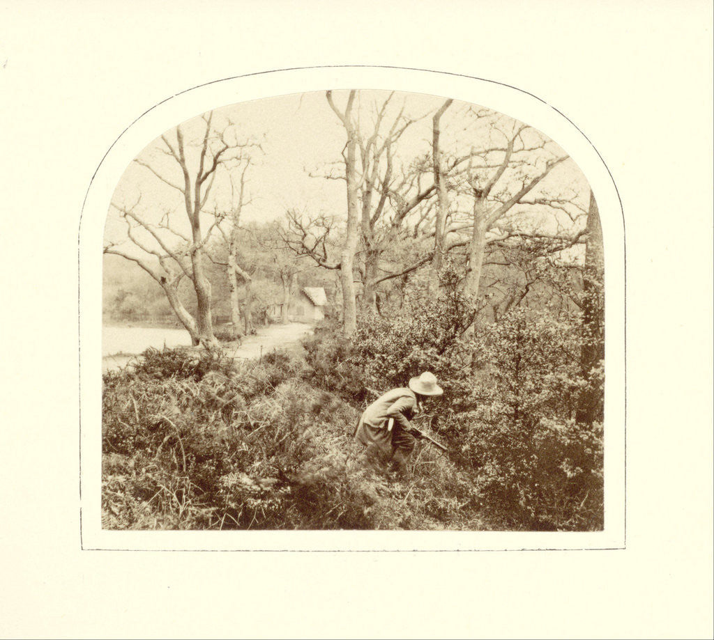 Detail of An Autumn Landscape by Anonymous