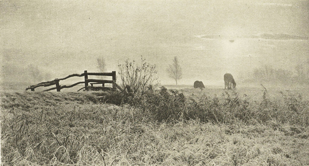Detail of Meadow Landscape by Peter Henry Emerson