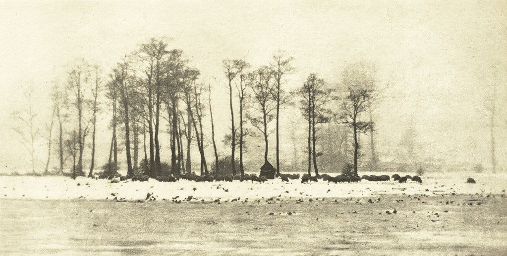 Detail of Snowy Landscape by Peter Henry Emerson