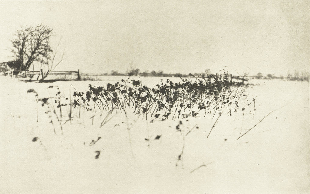 Detail of Snowy Landscape by Peter Henry Emerson