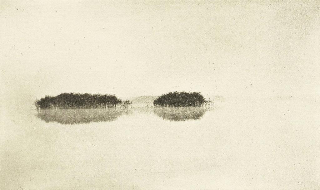 Detail of River landscape by Peter Henry Emerson