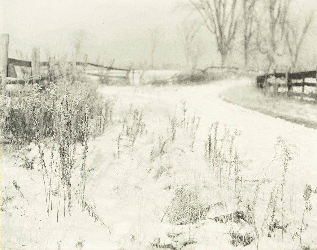 Detail of Winter landscape in the countryside by William B. Post