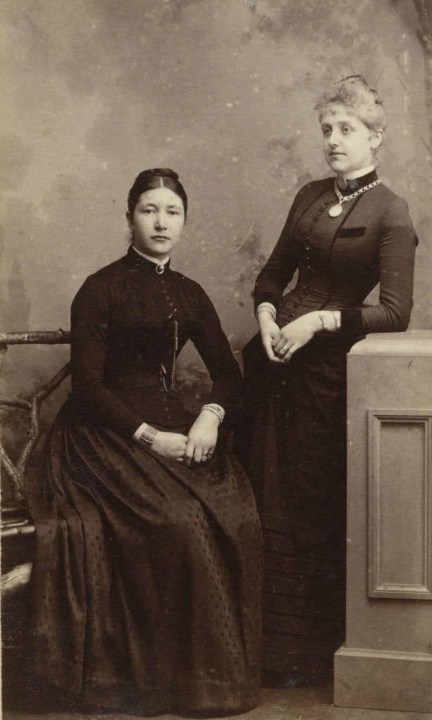 Detail of Portrait of two women by D.J. Boom