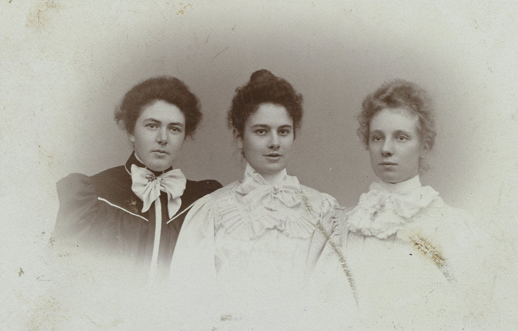 Detail of Portrait of three women by L. van de Winkel