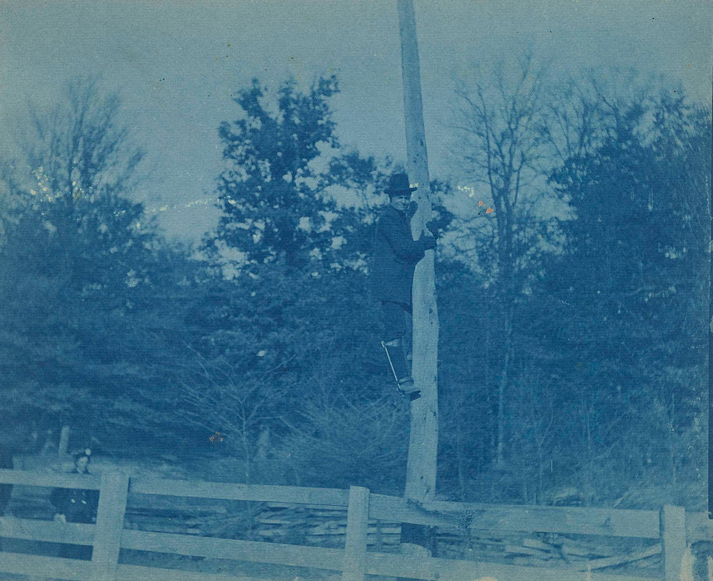 Detail of Man who climbed a tree or pole by Anonymous
